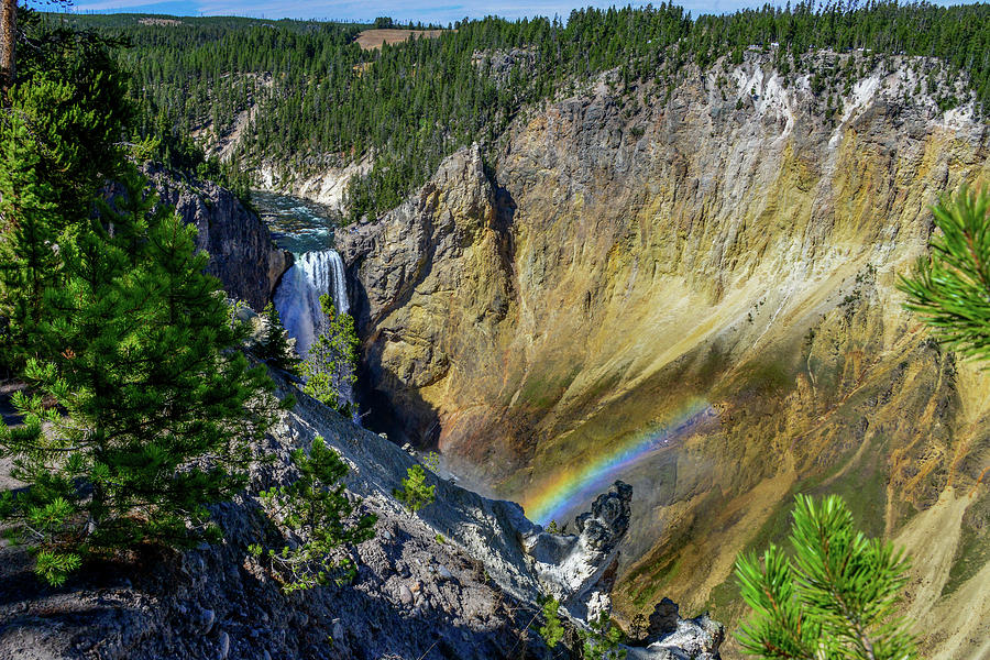 Lower Falls with Rainbow, Yellowstone Photograph by Marilyn Burton