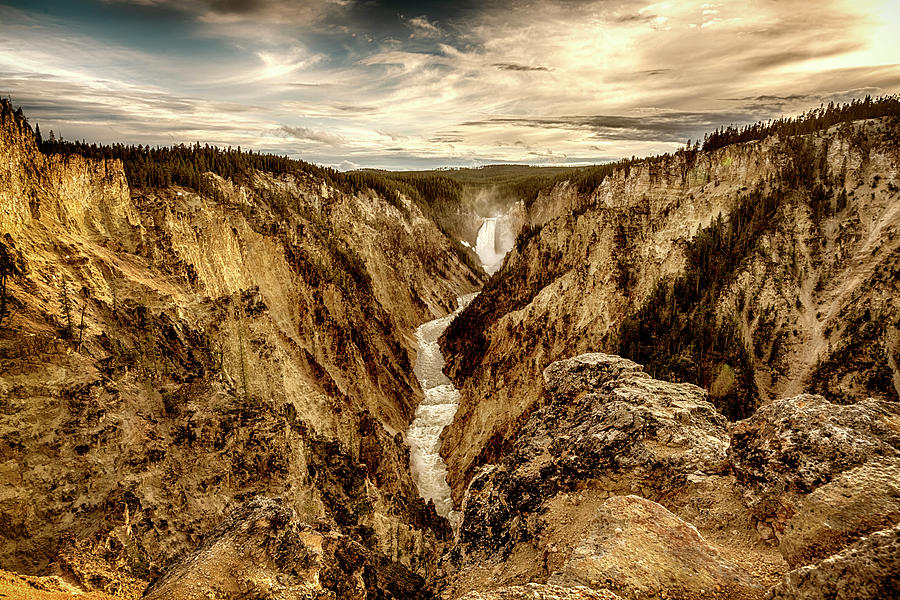 Lower Falls Yellowstone Canyon Brown Monotone_GRK7956_05282018 Photograph by Greg Kluempers