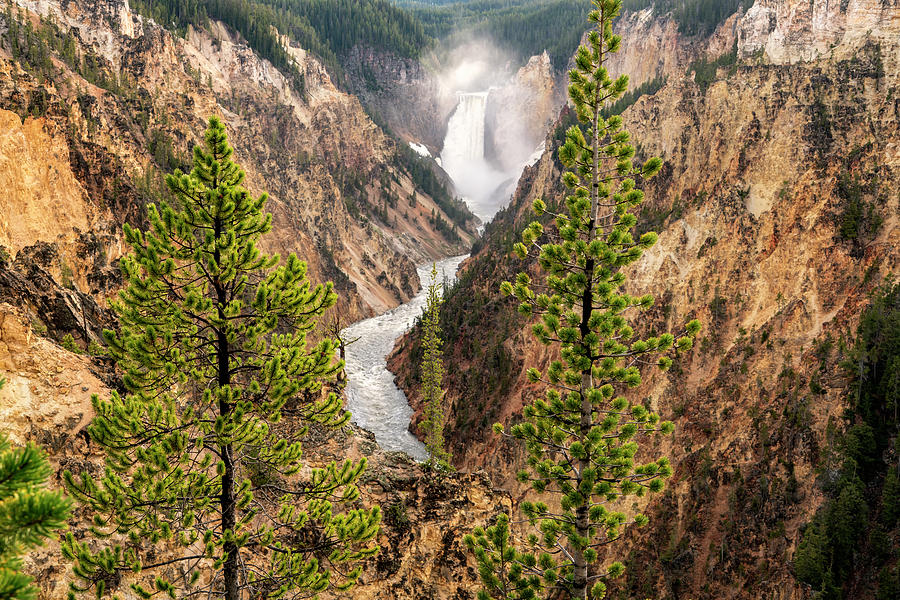 Lower Falls Yellowstone Canyon GRK7913_05282018 Photograph by Greg Kluempers