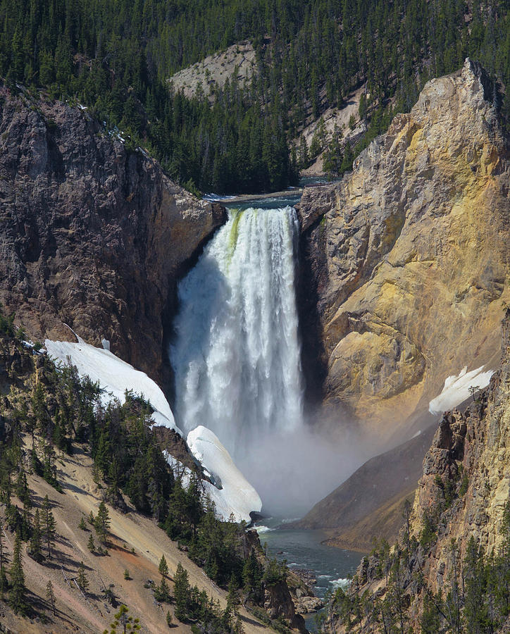 Lower Falls, Yellowstone National Park Photograph By Paula Card