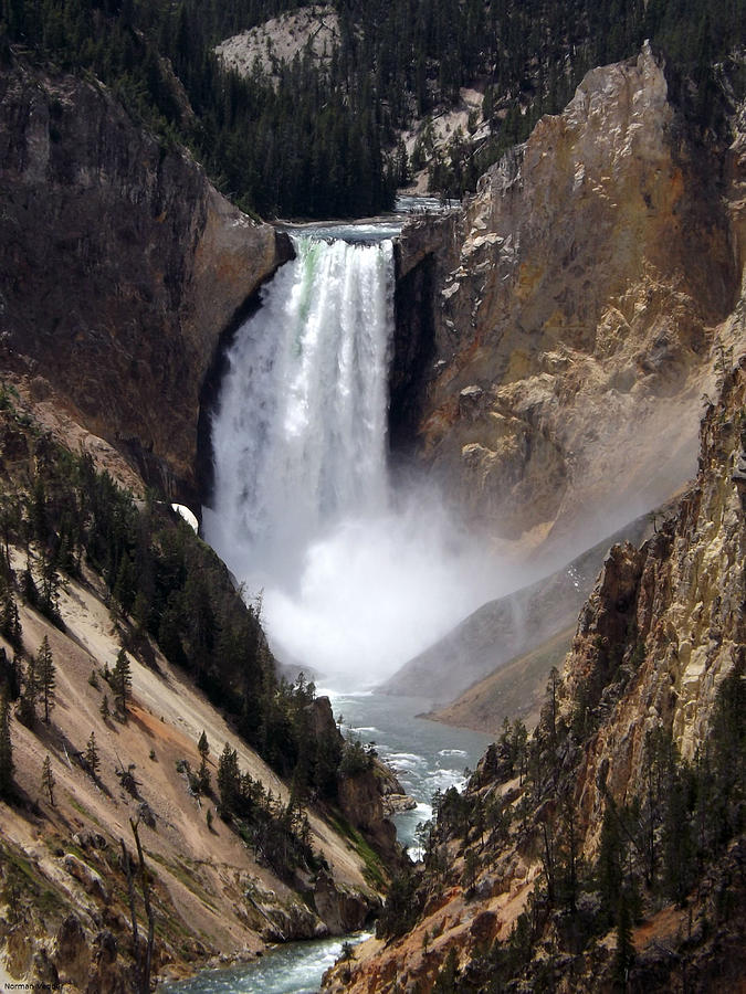 Lower Falls Yellowstone Photograph