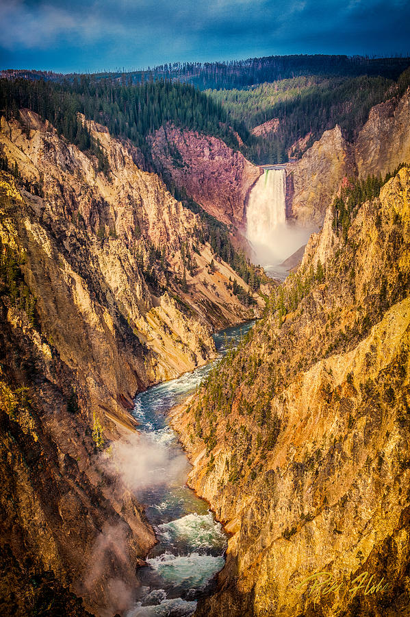 Lower Falls - Yellowstone Photograph by Rikk Flohr