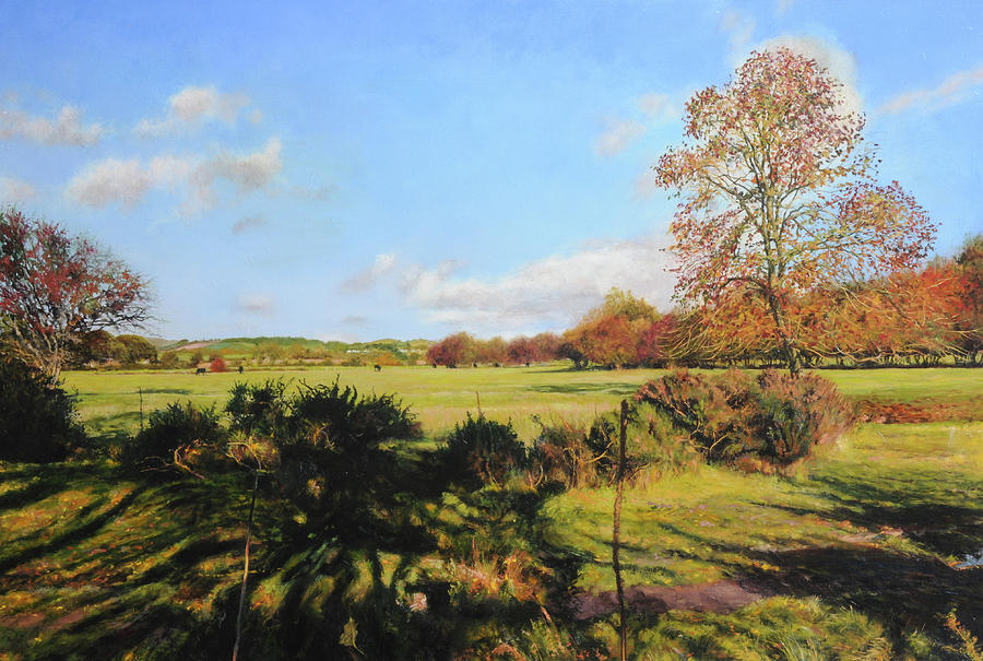 Lower fields at Rhug Painting by Harry Robertson