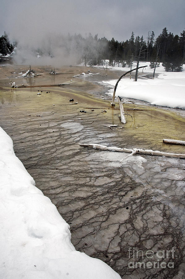 Lower Geyser Basin Yellowstone Photograph by Cindy Murphy - NightVisions