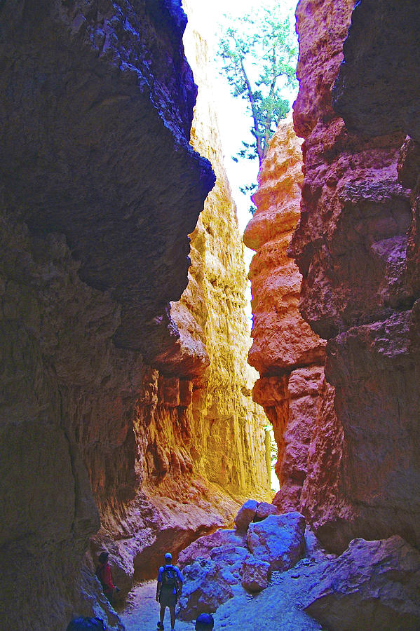 Lower Level of Wall Street on Navajo Trail in Bryce Canyon National Park, Utah Photograph by Ruth Hager