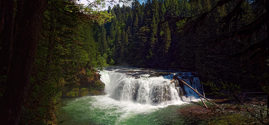 Tree Photograph - Lower Lewis Falls by Thomas Hall