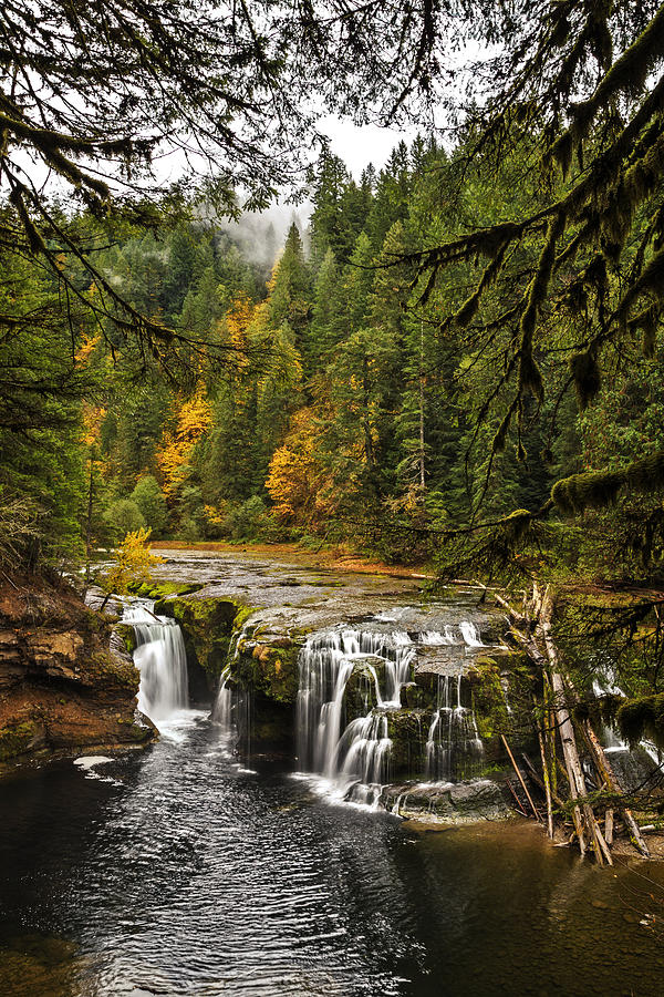 Lower Lewis River Falls in Falltime Photograph by Wes and Dotty Weber
