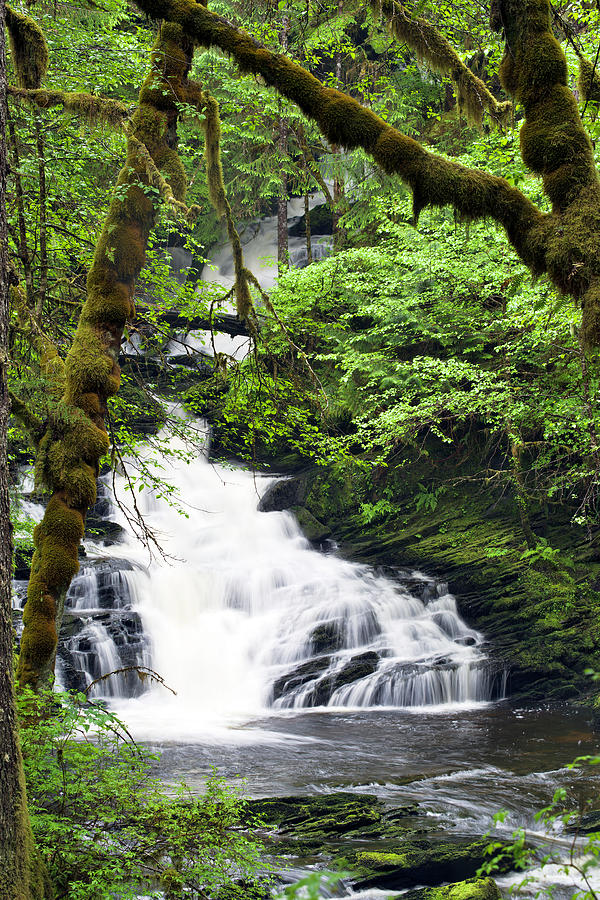 Lower Lunch Creek Falls Photograph