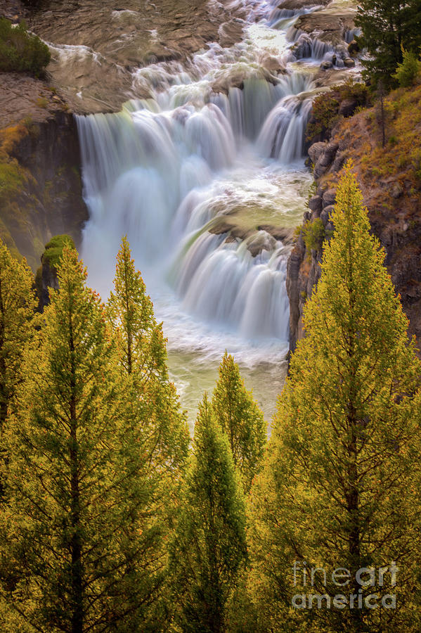 Lower Mesa Falls Photograph by Bret Barton