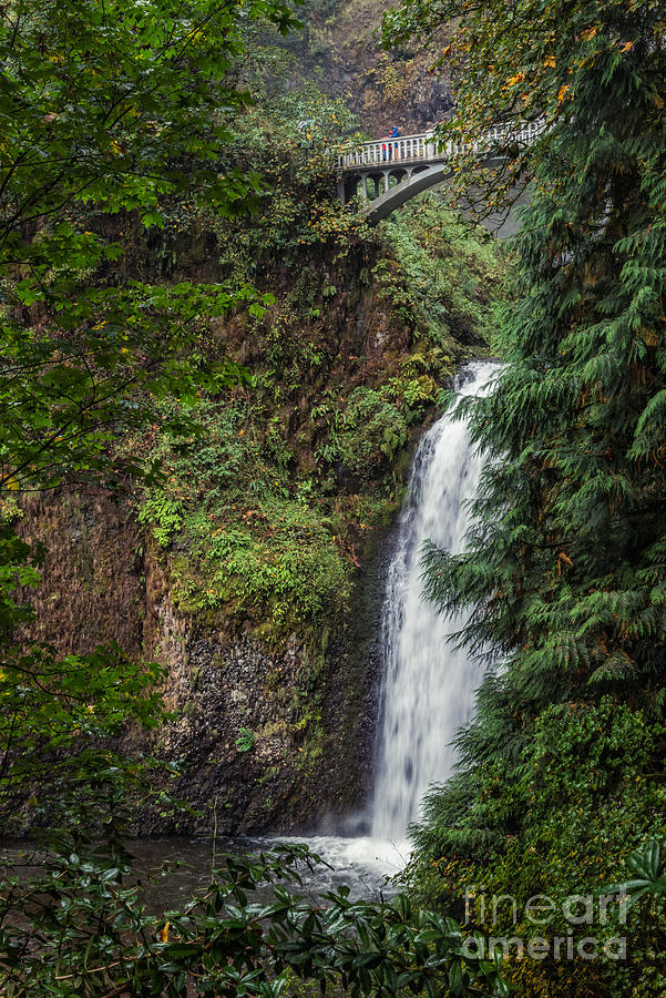Lower Multnomah Falls Photograph by Al Andersen