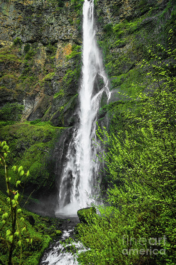 Waterfall Photograph - Lower Multnomah Falls by Jon Burch Photography