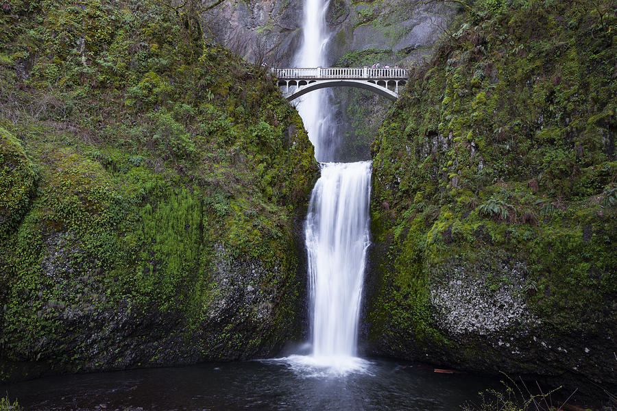 Waterfall Photograph - Lower Multnomah Falls by Rick Pisio