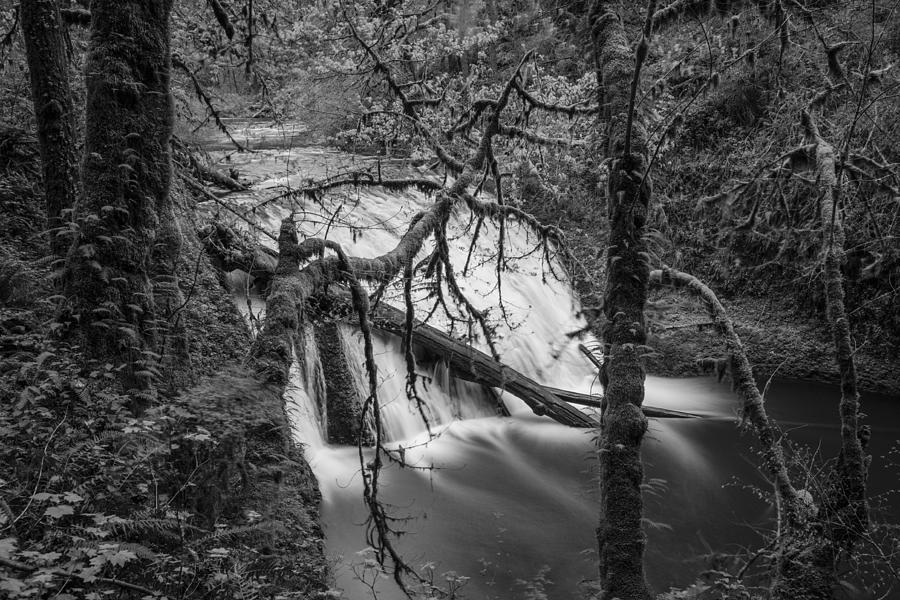 Lower North Falls in Black and White  Photograph by John McGraw