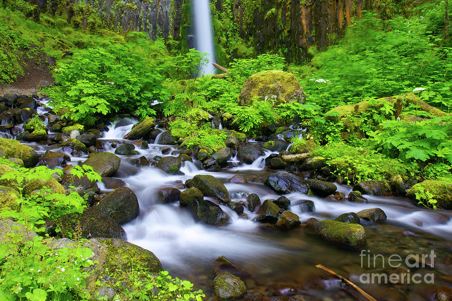 Lower part of dry Creek Falls i Photograph by Bruce Block