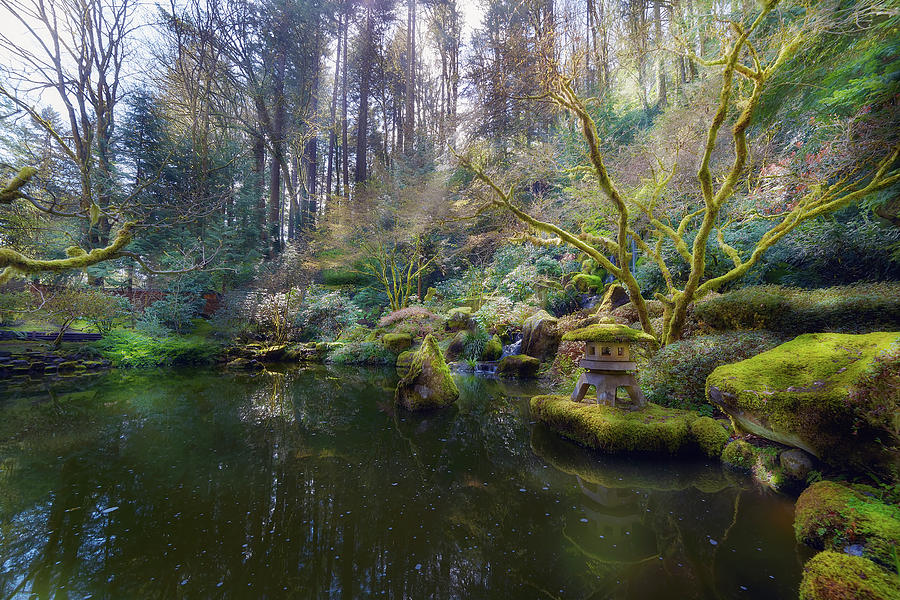 Waterfall Photograph - Lower Pond at Portland Japanese Garden by David Gn Waterfall Photograph - Lower Pond at Portland Japanese Garden by David Gn