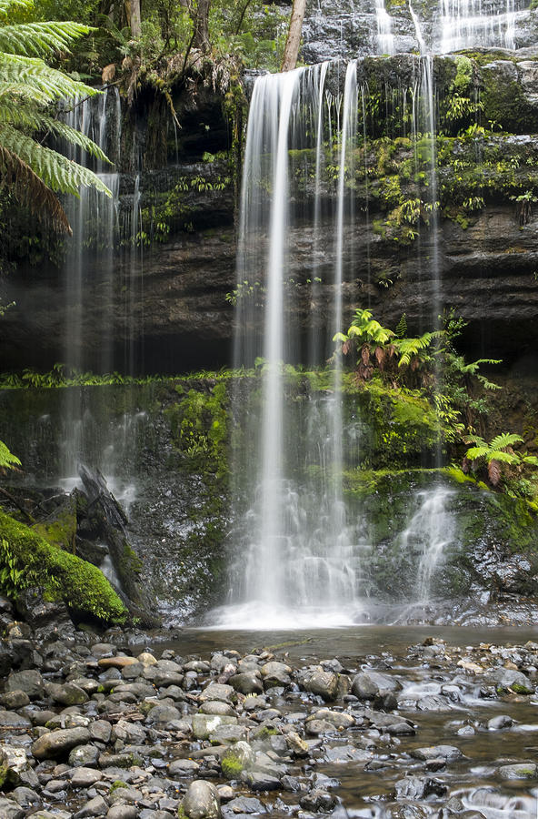 Lower Russell Falls Tasmania Photograph by Odille Esmonde-Morgan - Fine ...