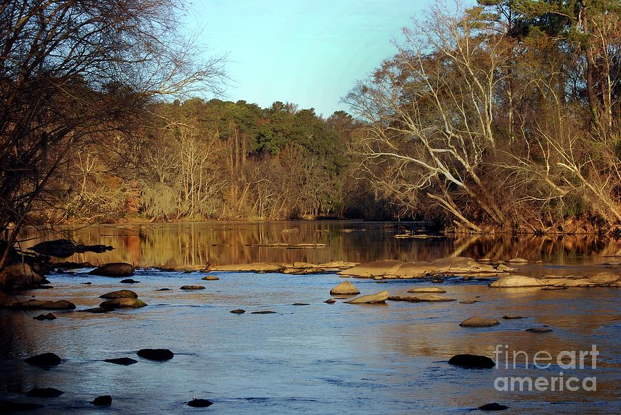 Lower Saluda River Photograph by Skip Willits