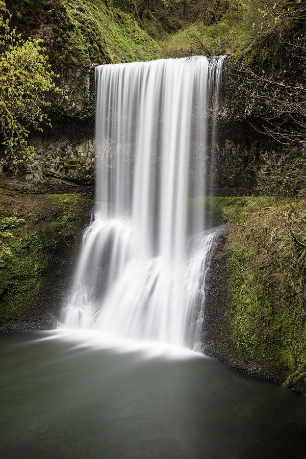 Lower South Falls in Silver Falls State Park Photograph by John McGraw