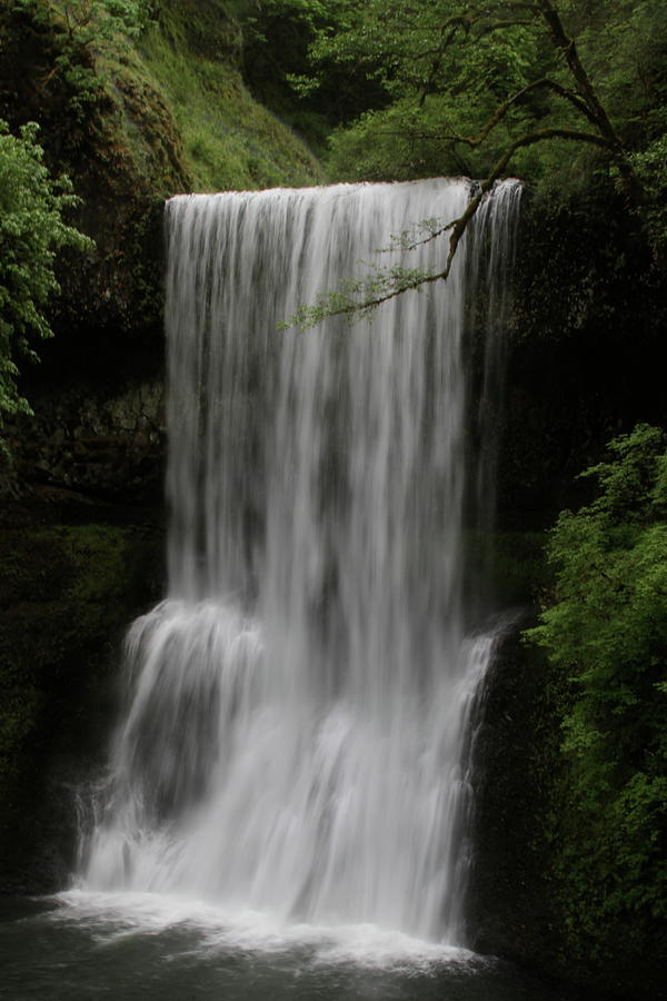 Lower South Falls Photograph by Laddie Halupa