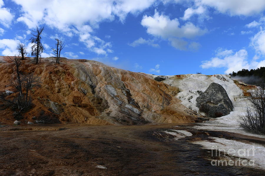 Lower Terraces at Mammoth Hot Springs Photograph by Christiane Schulze Art And Photography