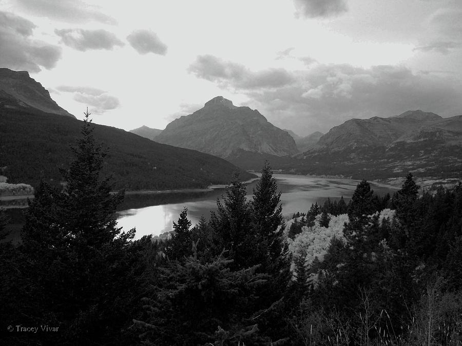Lower Two Medicine Lake in Black and White Photograph by Tracey Vivar