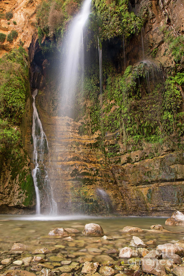 lower waterfall in Wadi David Photograph by Alon Meir