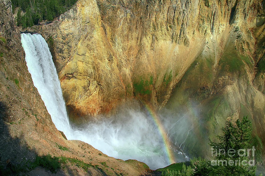 Yellowstone National Park Photograph - Lower Yellowstone Falls and Rainbow by Teresa Zieba