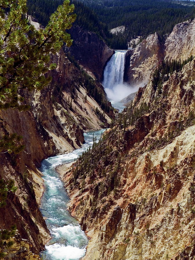 Lower Yellowstone Falls and River Photograph by Sally Weigand