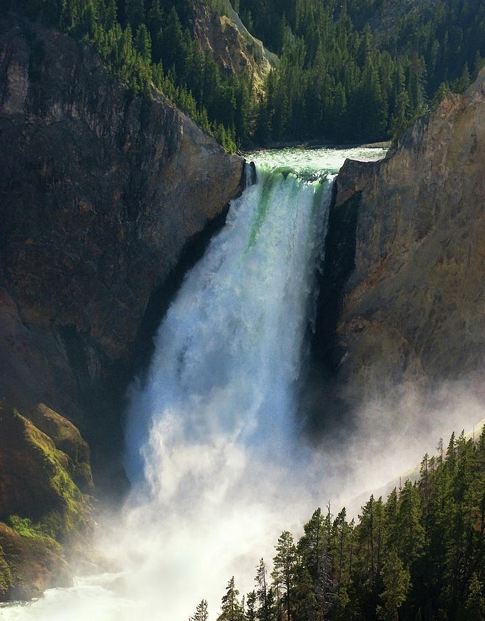 Lower Yellowstone Falls Photograph by Art Cole