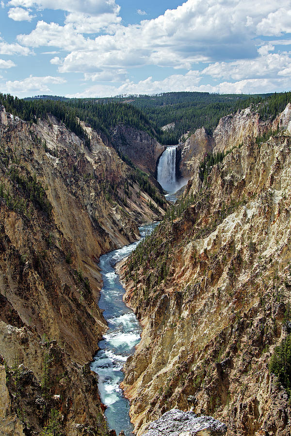 Lower Yellowstone Falls Photograph by Chris Aschenbrener - Pixels