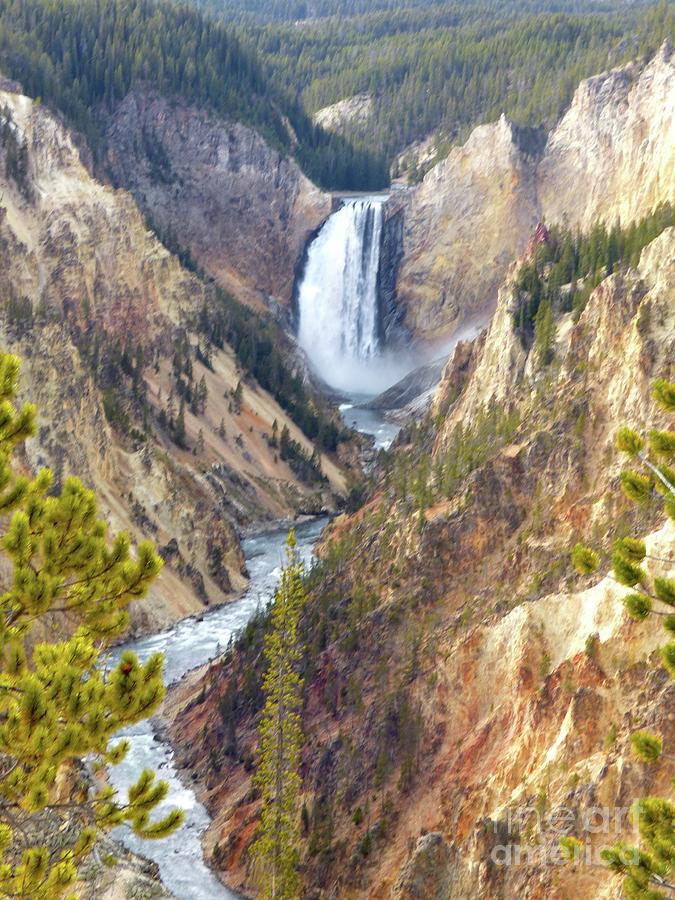 Lower Yellowstone Falls from Artist Point Photograph by Jean Wright