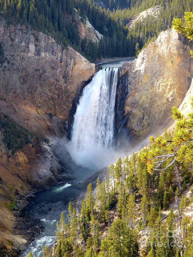 Lower Yellowstone Falls from Inspiration Point Photograph by Jean Wright