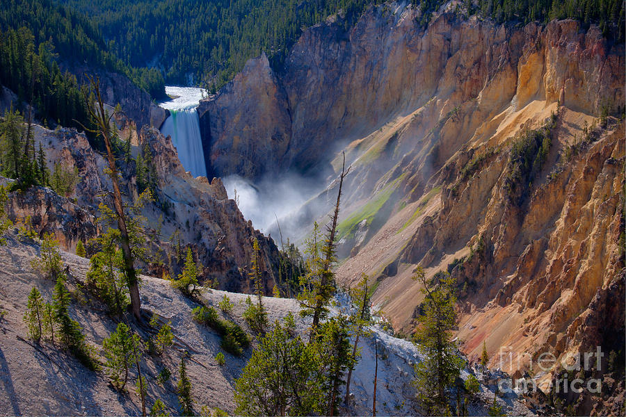 Yellowstone National Park Photograph - Lower Yellowstone Falls by Idaho Scenic Images Linda Lantzy