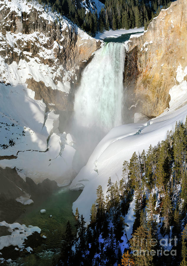  Lower Yellowstone Falls Photograph by Wildlife Fine Art