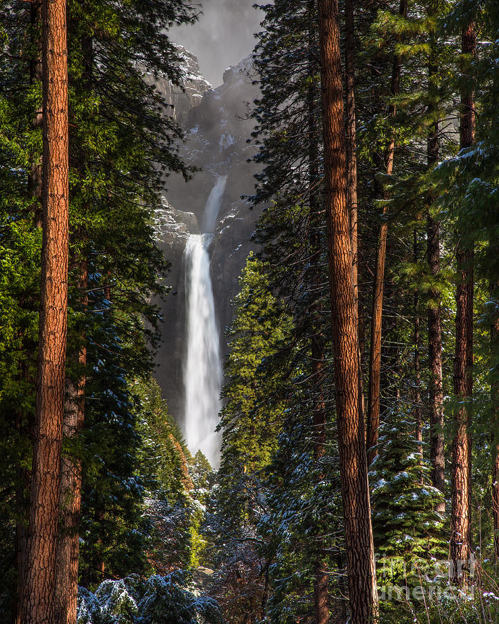 Lower Yosemite Falls Photograph by Anthony Michael Bonafede