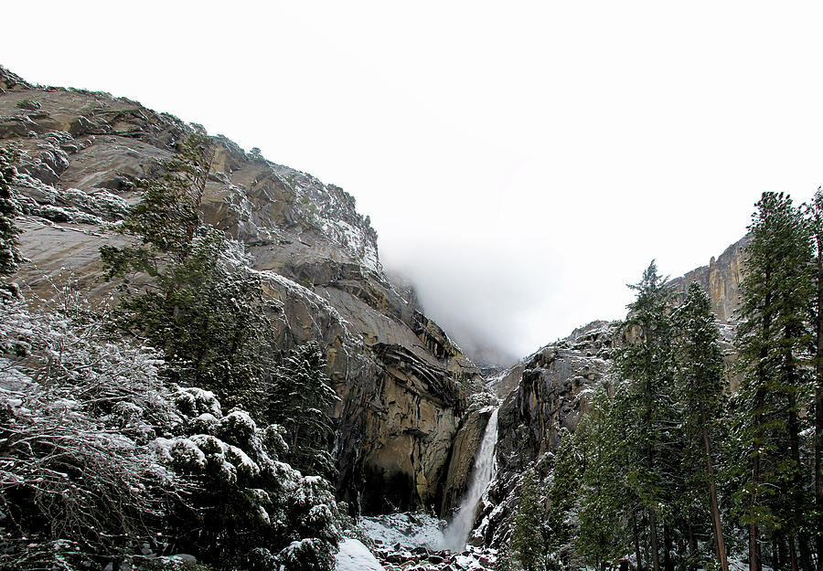 Lower Yosemite Falls California Photograph by Larry Darnell