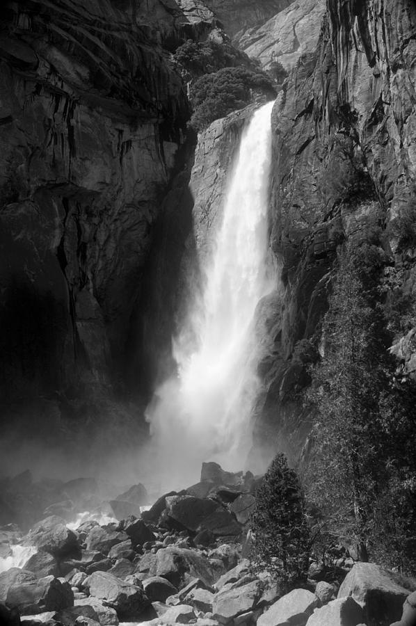 Nature Photograph - Lower Yosemite Falls by Daren  Le