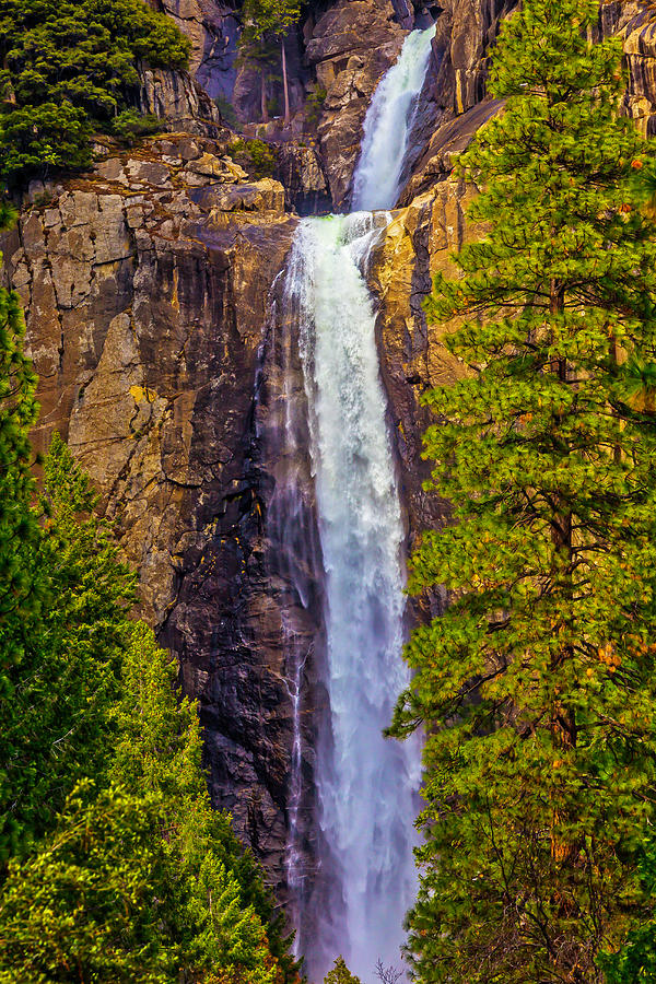 Lower Yosemite Falls Photograph by Garry Gay