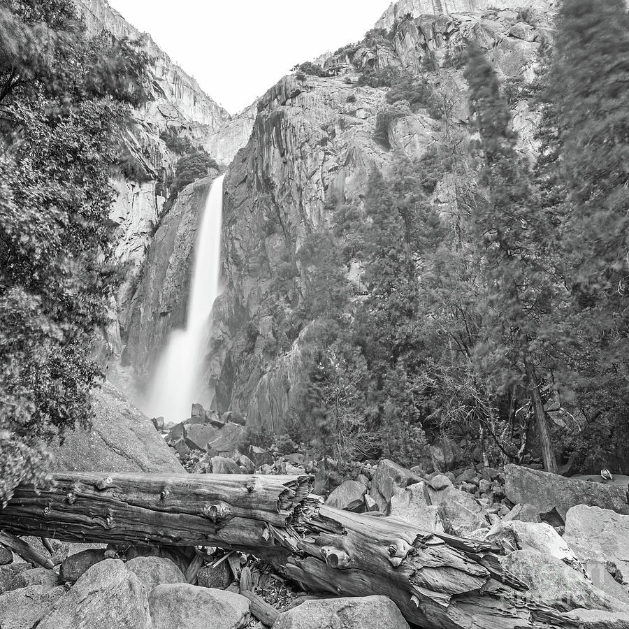 Lower Yosemite Falls in Black and White by Michael Tidwell Photograph by Michael Tidwell