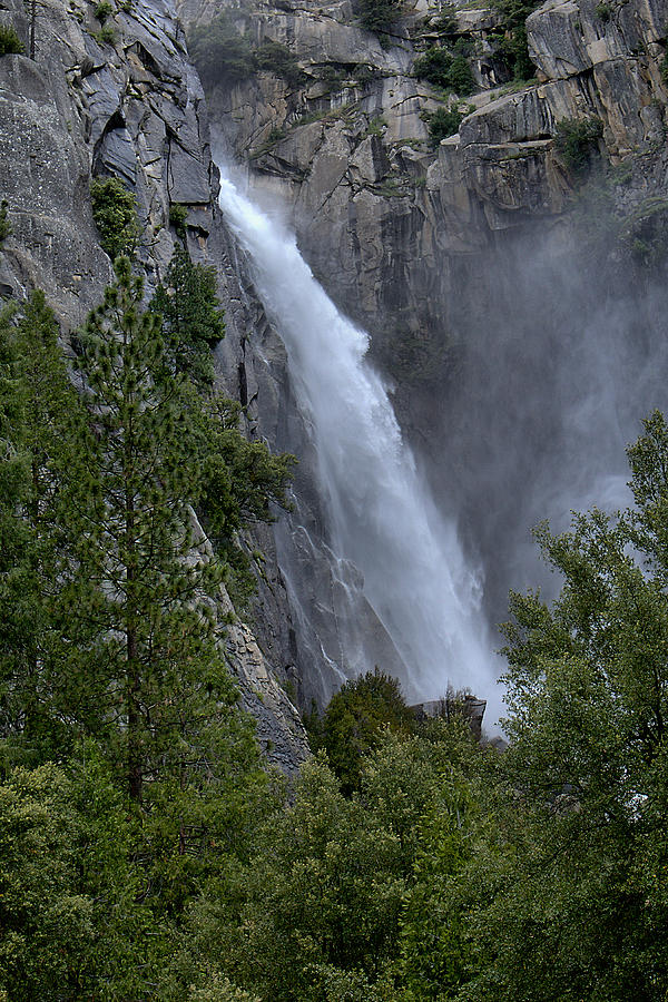 Lower Yosemite Falls Photograph by Michael Gordon