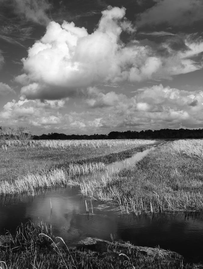 Loxahatchee Canal And Cloud 4685 Photograph