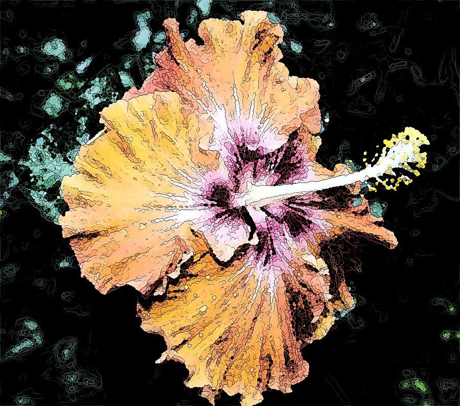 LSD Flower Photograph by Rodger Mansfield