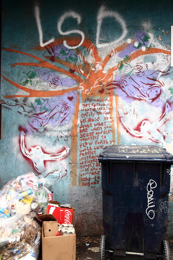LSD poetry and trash Photograph by Kreddible Trout