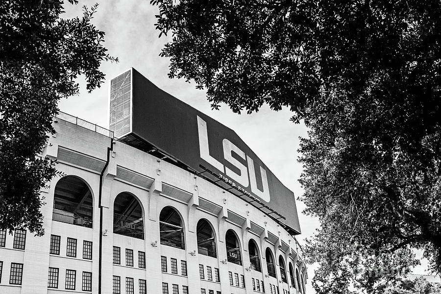 LSU Between the Oaks - BW Photograph by Scott Pellegrin
