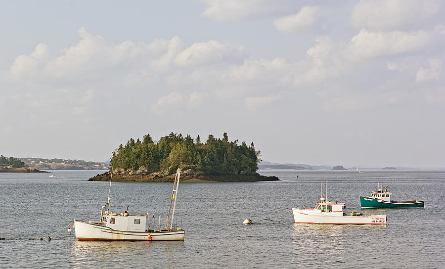 Lubec Harbor Looking North Photograph by Peter J Sucy