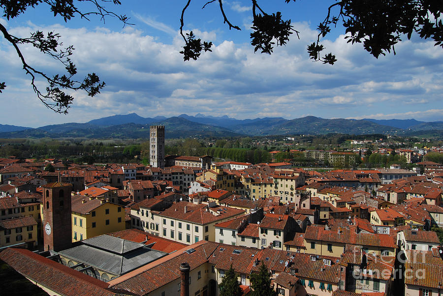 Lucca - Italy - from the top Photograph by Carlos Alkmin