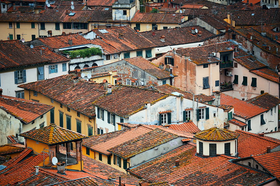 Lucca roof above view Photograph by Songquan Deng