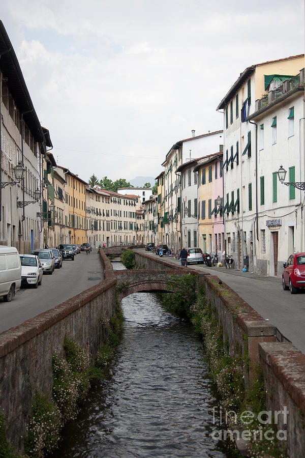 City Photograph - Lucca by Steven Gray