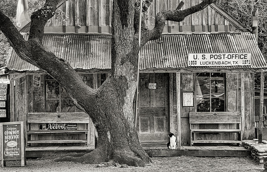 Luckenbach Photograph by JC Findley