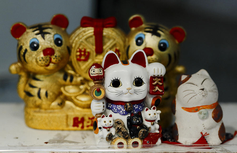 Lucky Cats Photograph by David Harding